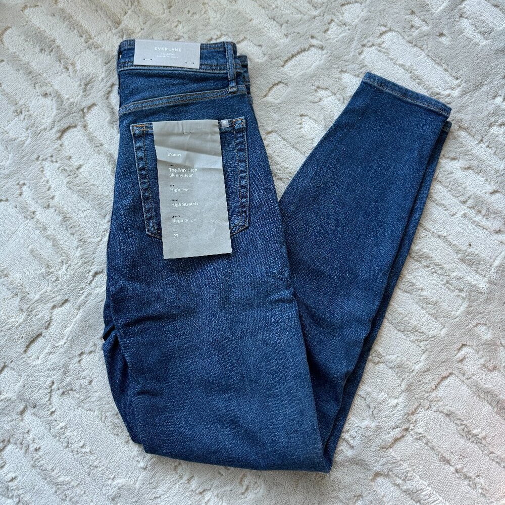 Everlane The Way High Skinny Jean